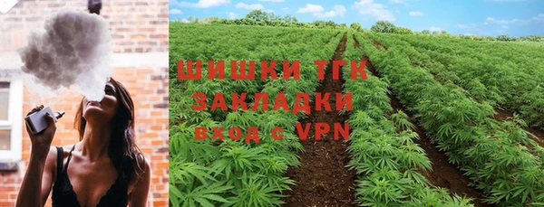 тгк Алзамай