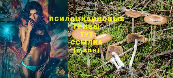МДМА Абаза