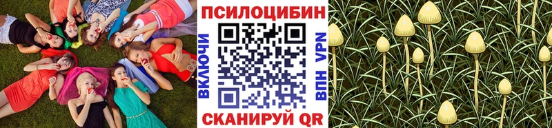 Галлюциногенные грибы ЛСД  Правдинск 
